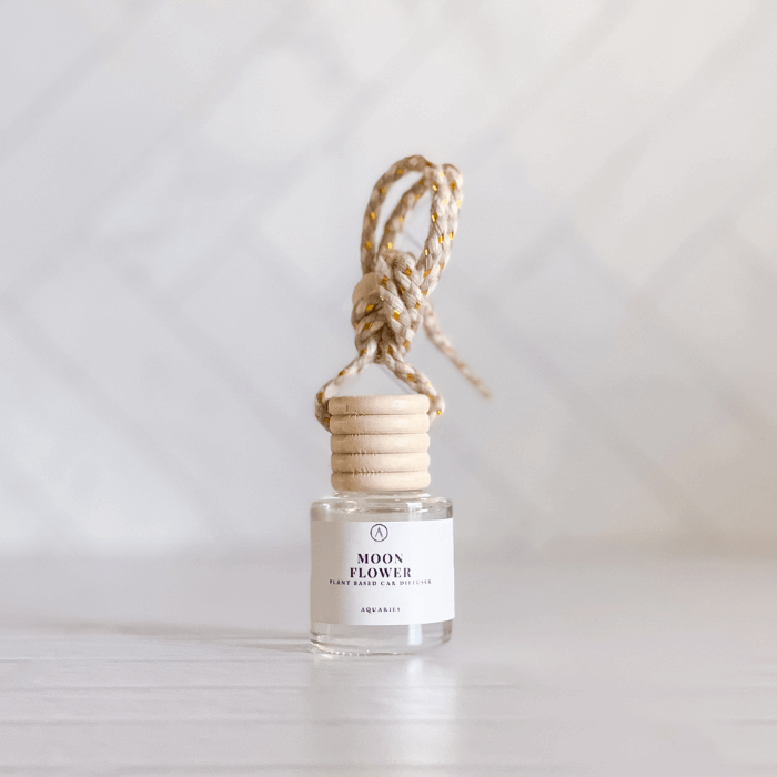 Small Mini Car Diffuser Plant Based Organic Vegan | Aquaries