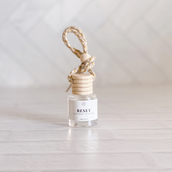 Small Mini Car Diffuser Plant Based Organic Vegan | Aquaries