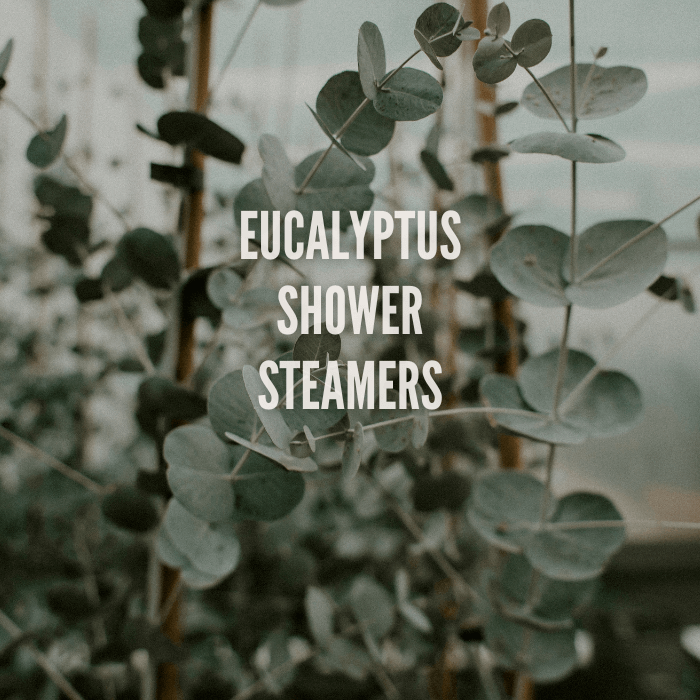 Eucalyptus & Peppermint Shower Steamers | Vegan, Cruelty Free, Phthalates Free